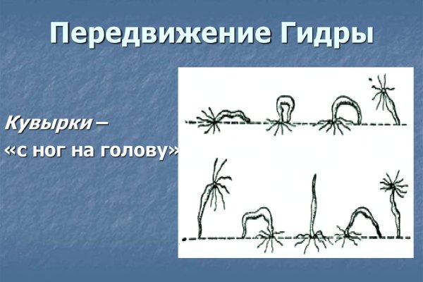 Kraken площадка