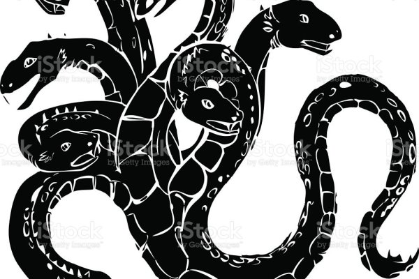 Kraken 19at